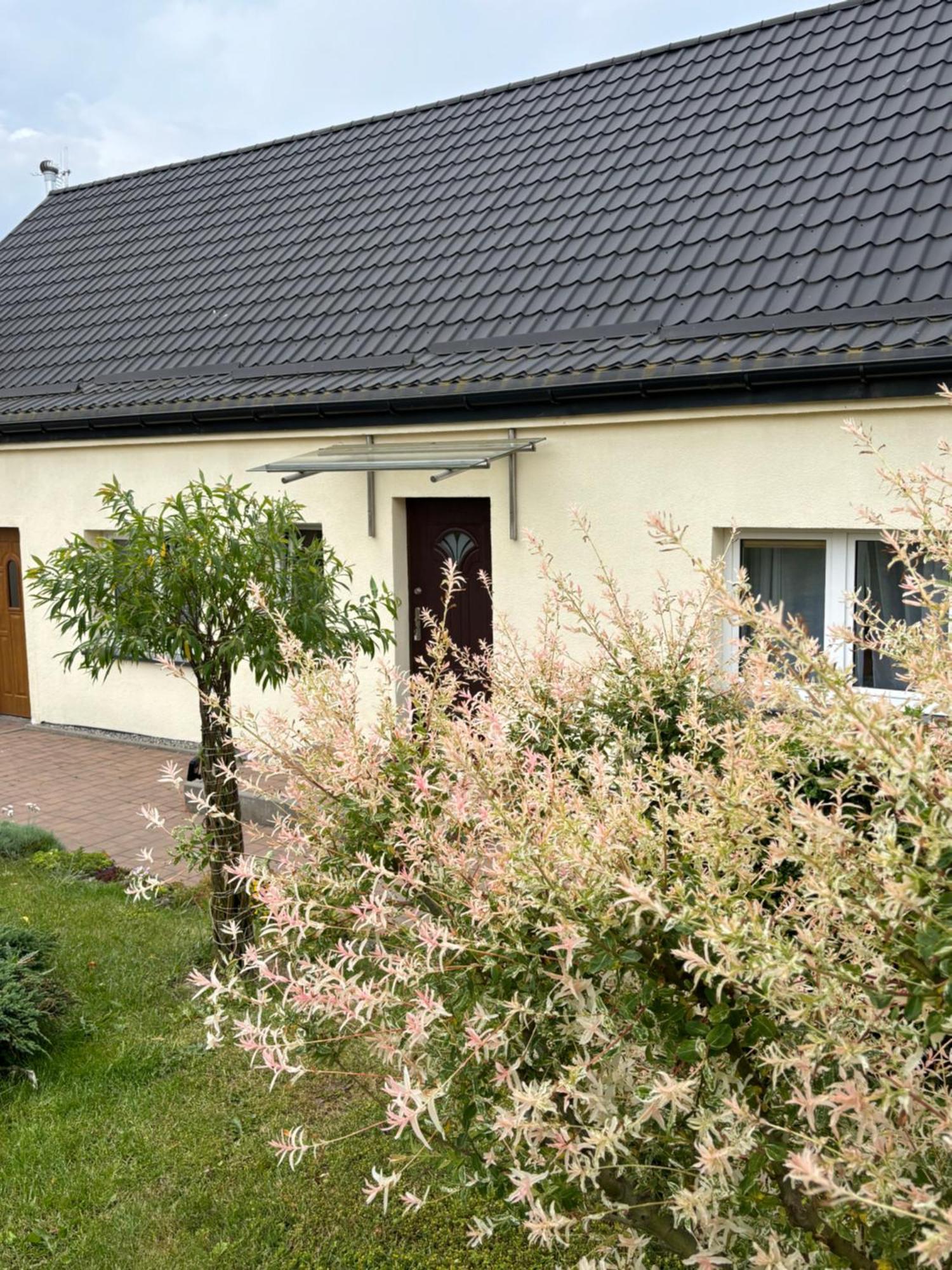 Dom Wakacyjny Na Wsi Blisko Morza Kukinia Exterior foto